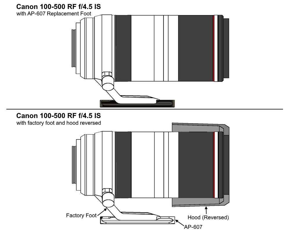 AP607 Canon 100-500 RF f/4.5-7.1